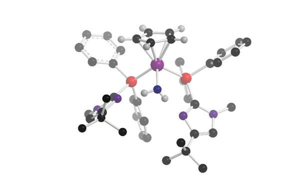 organotransition metal complex