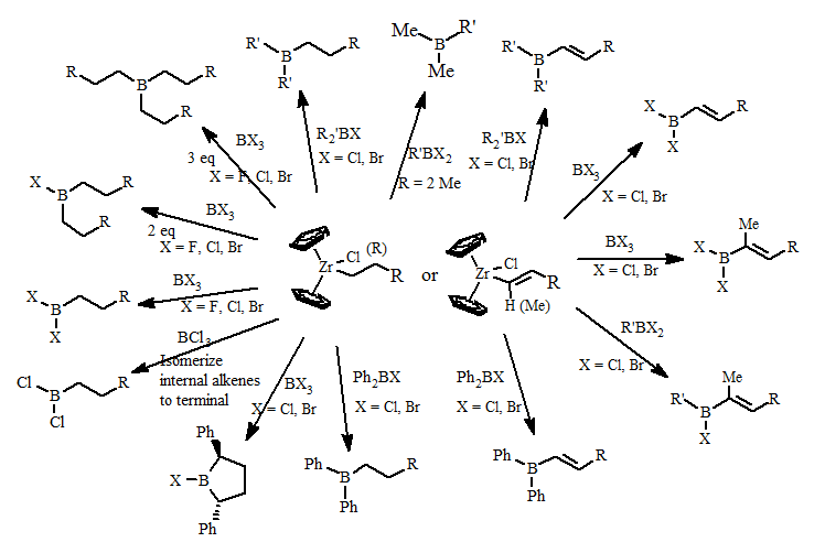 transmetallation reaction of alkyl and alkenyl groups