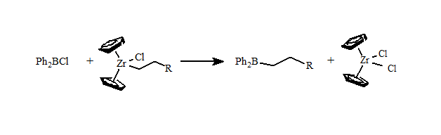 zirconium to boron transmetallation reaction