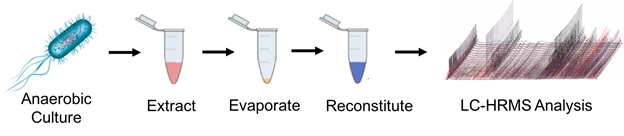 microbe culturing and analysis workflow