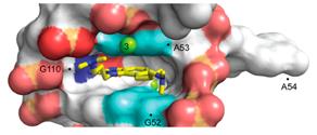 HCV molecule image