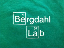 Bergdahl lab logo
