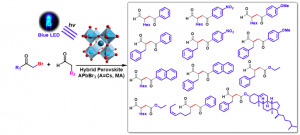 JACS paper image