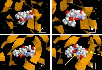 Bergdahl Research Group molecular modeling