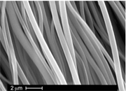 spider silk